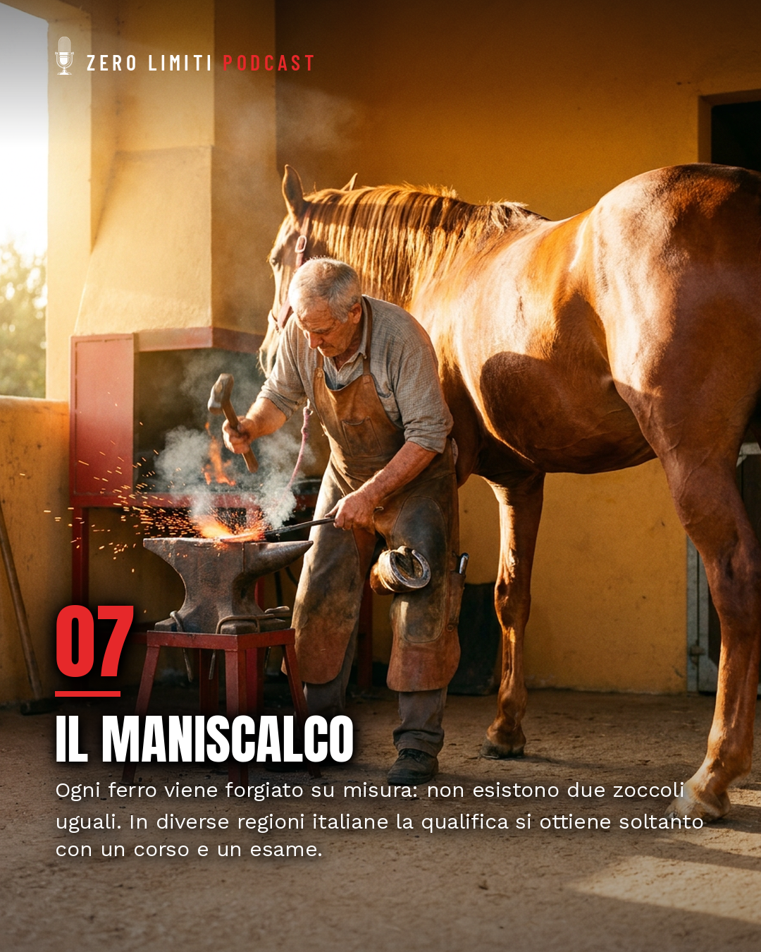 Il maniscalco